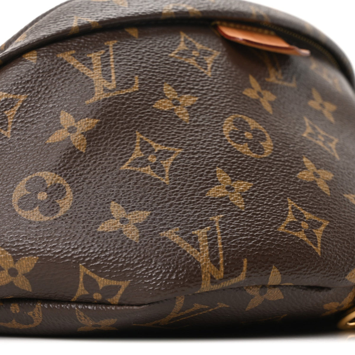 Monogram Bumbag
