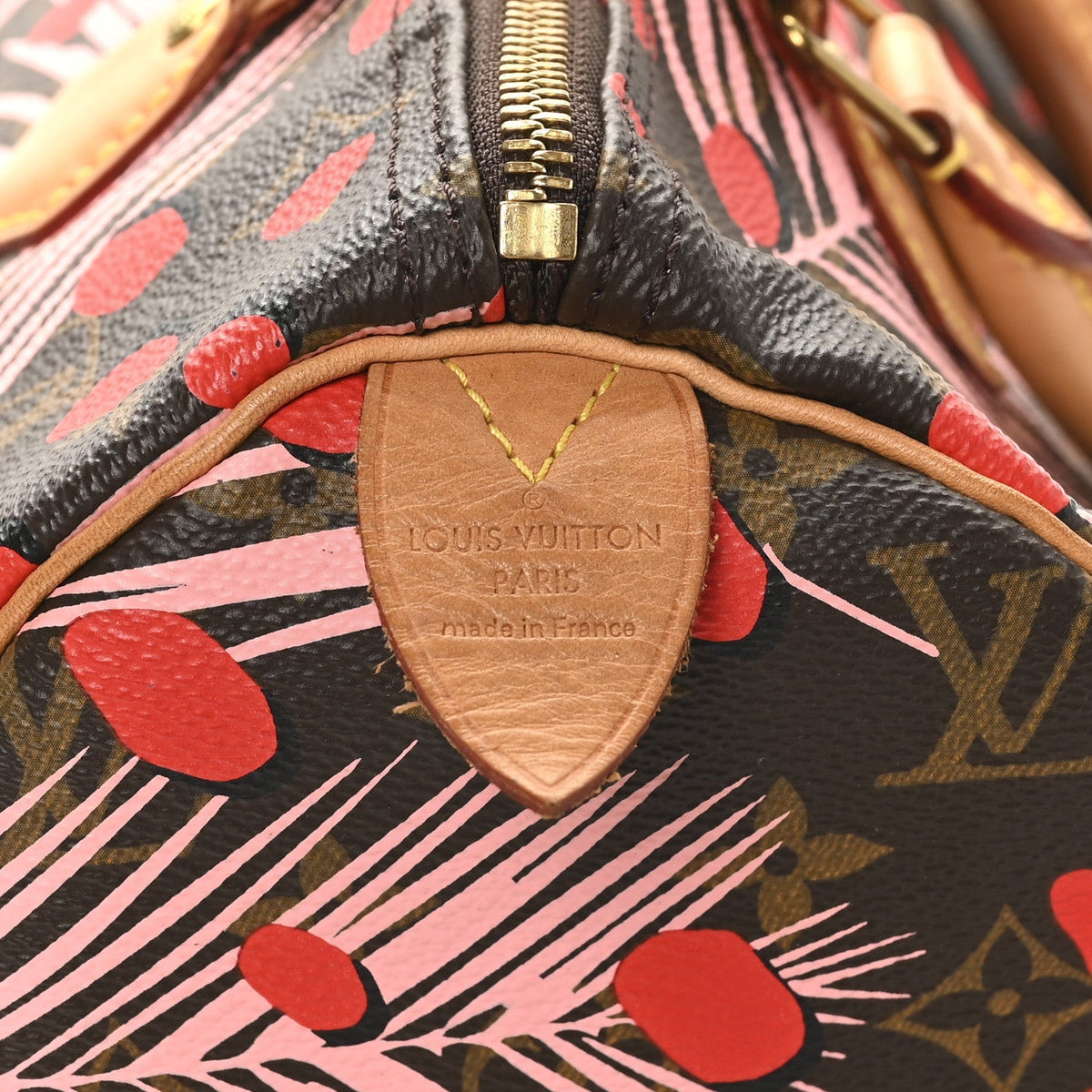 Monogram Jungle Dots Speedy 30 Sugar Pink Poppy