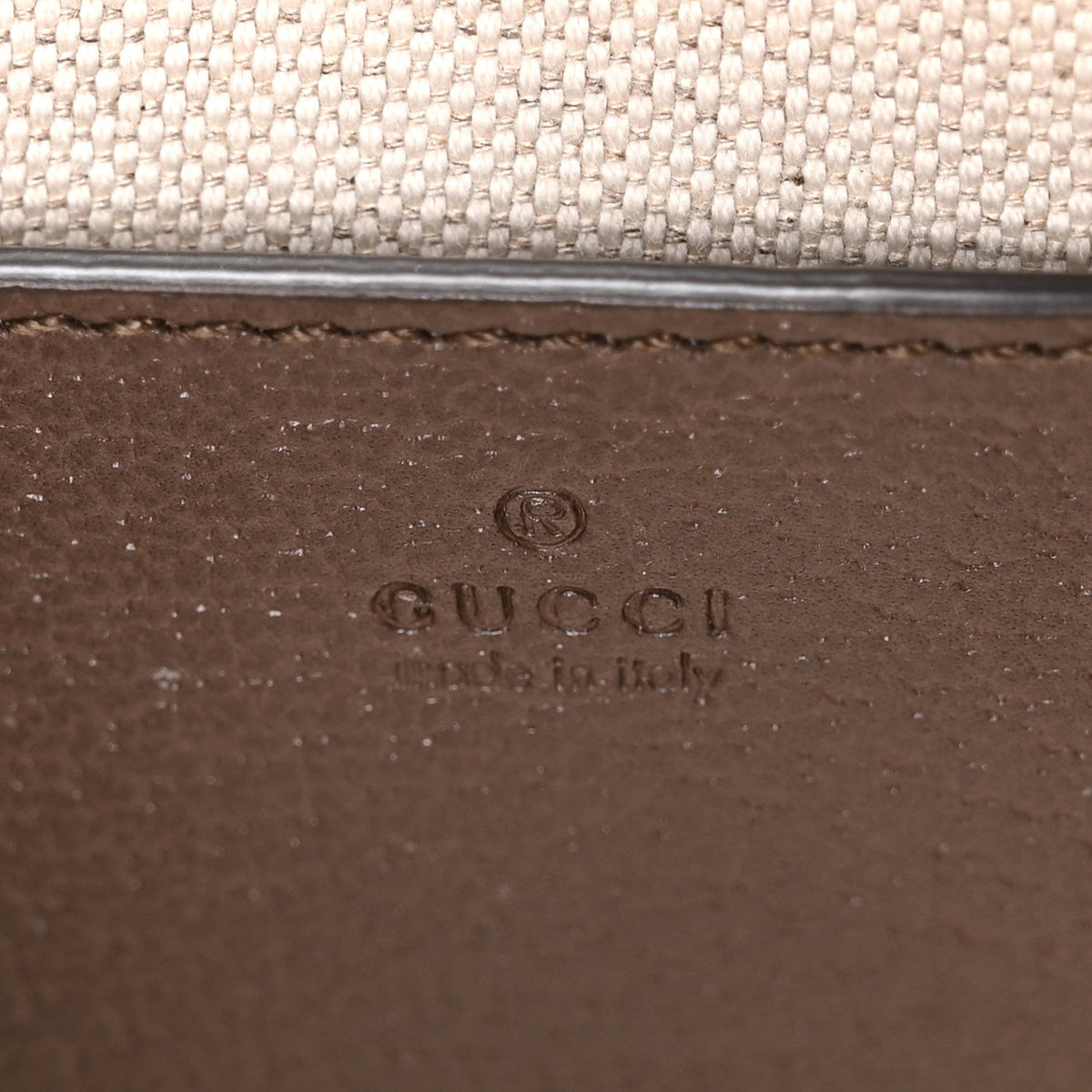GG Supreme Monogram Textured Dollar Calfskin Mini Ophidia Chain Bag Beige Ebony