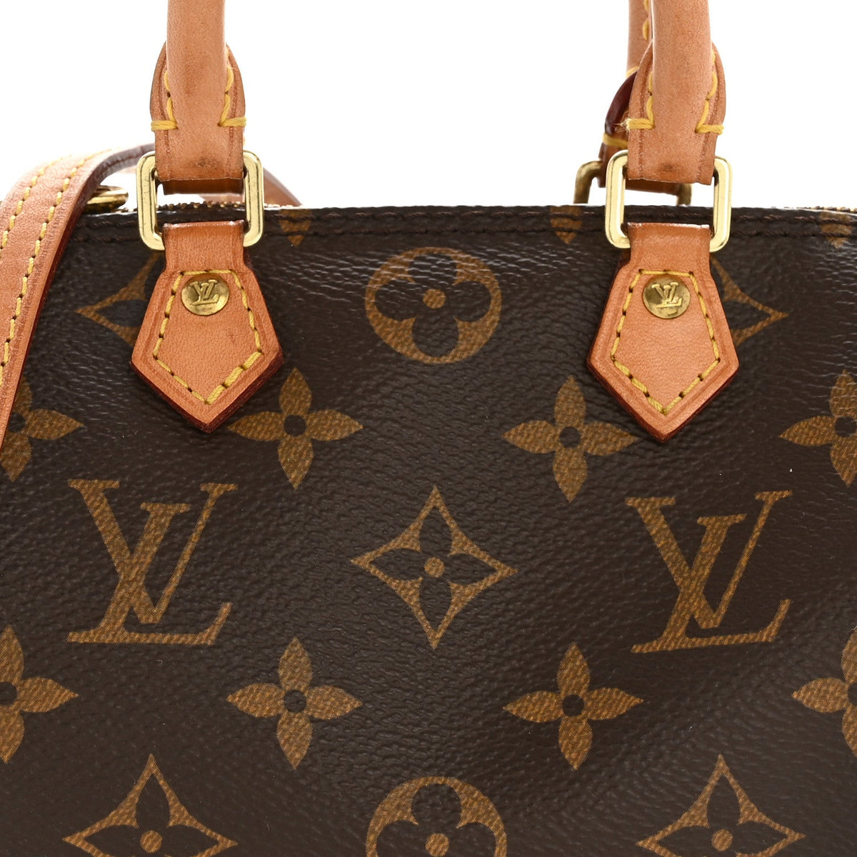 Monogram Nano Speedy