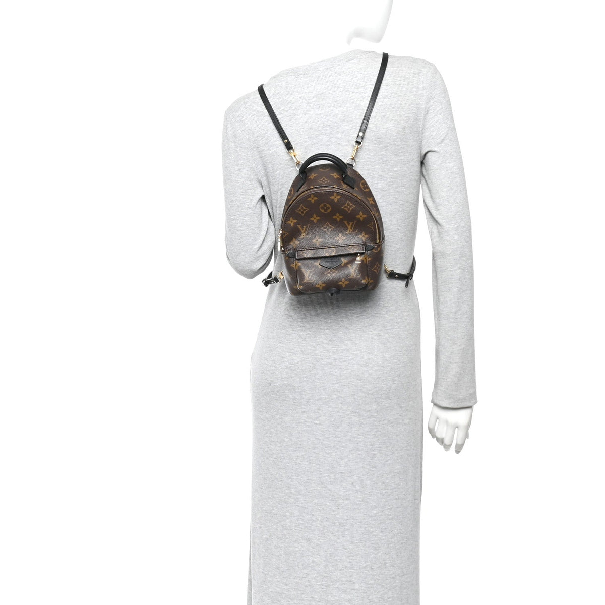 Monogram Palm Springs Backpack Mini