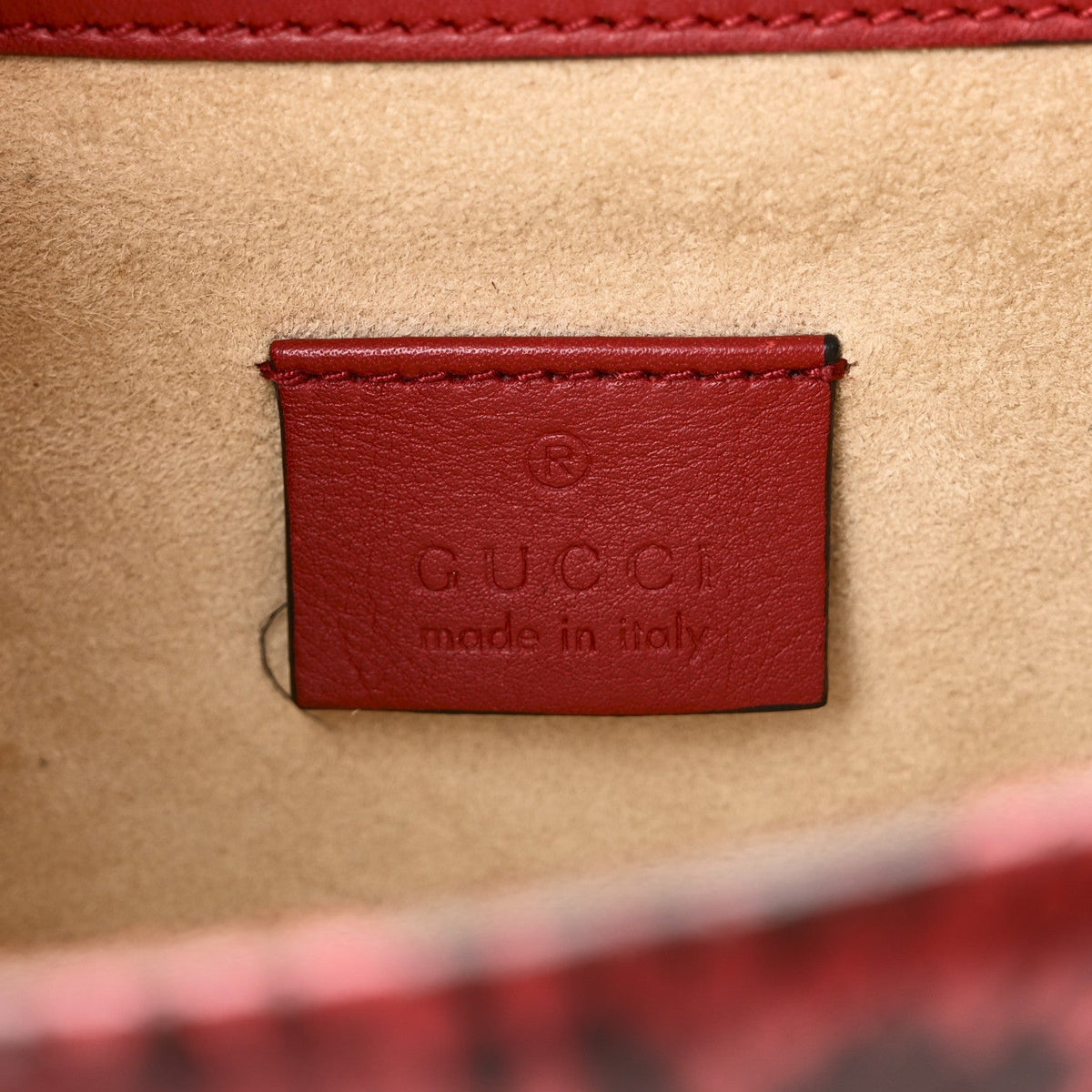 Snakeskin Mini Dionysus Shoulder Bag Red