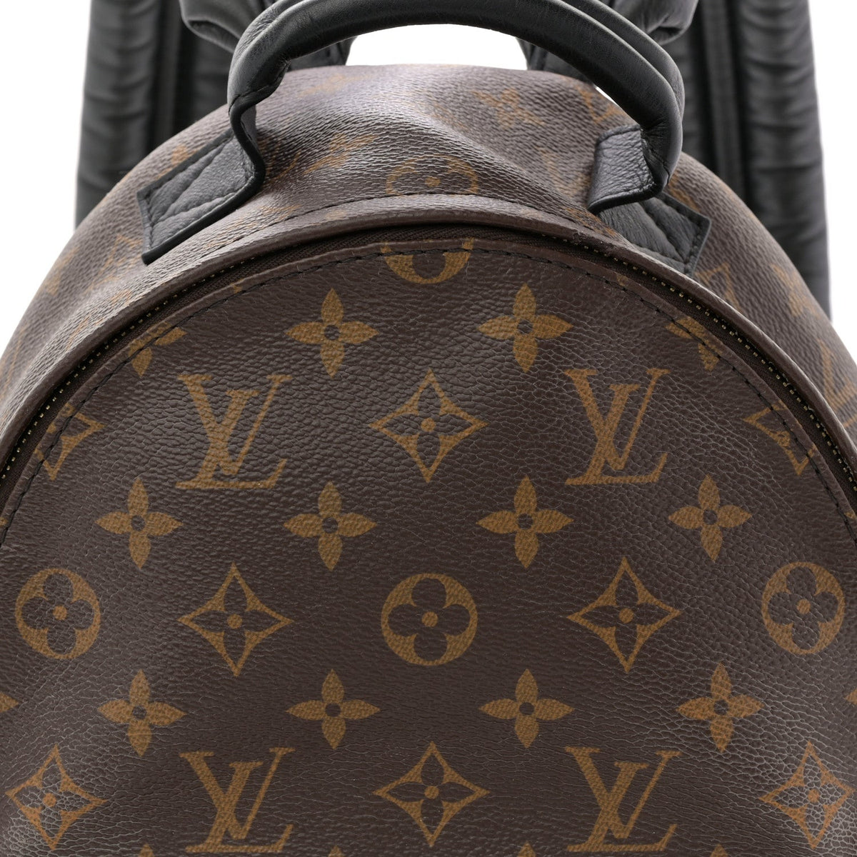Monogram Palm Springs Backpack PM