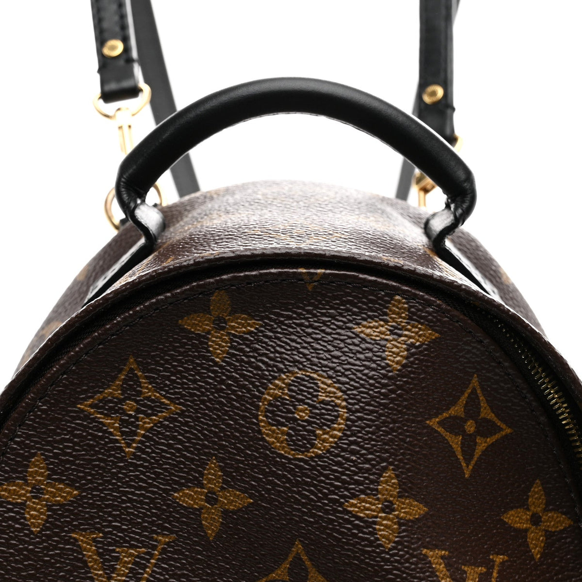 Monogram Palm Springs Backpack Mini