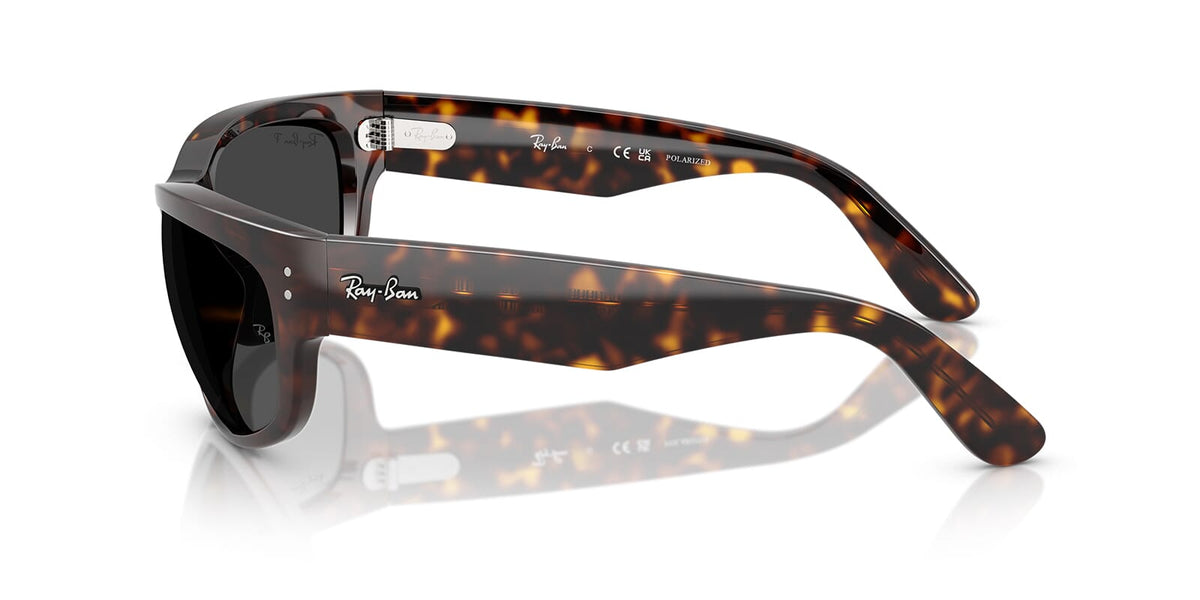 Ray-Ban Mega Balorama RB 2289 902/48 Polarised