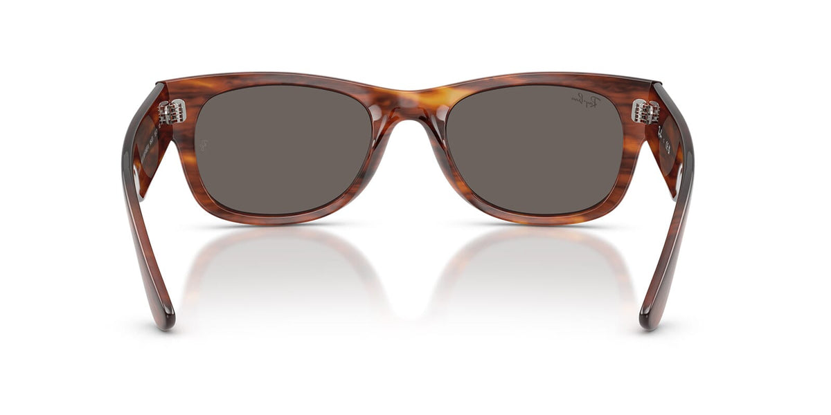 Ray-Ban Mega Wayfarer II RB 0832S 954/B1