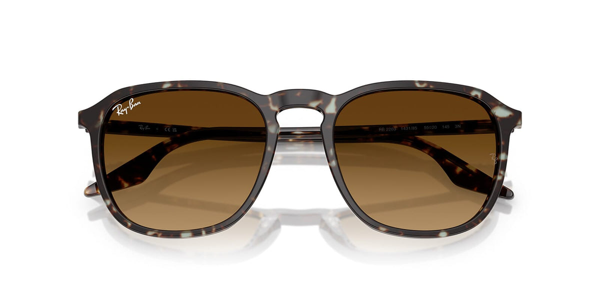 Ray-Ban RB 2203 1431/85